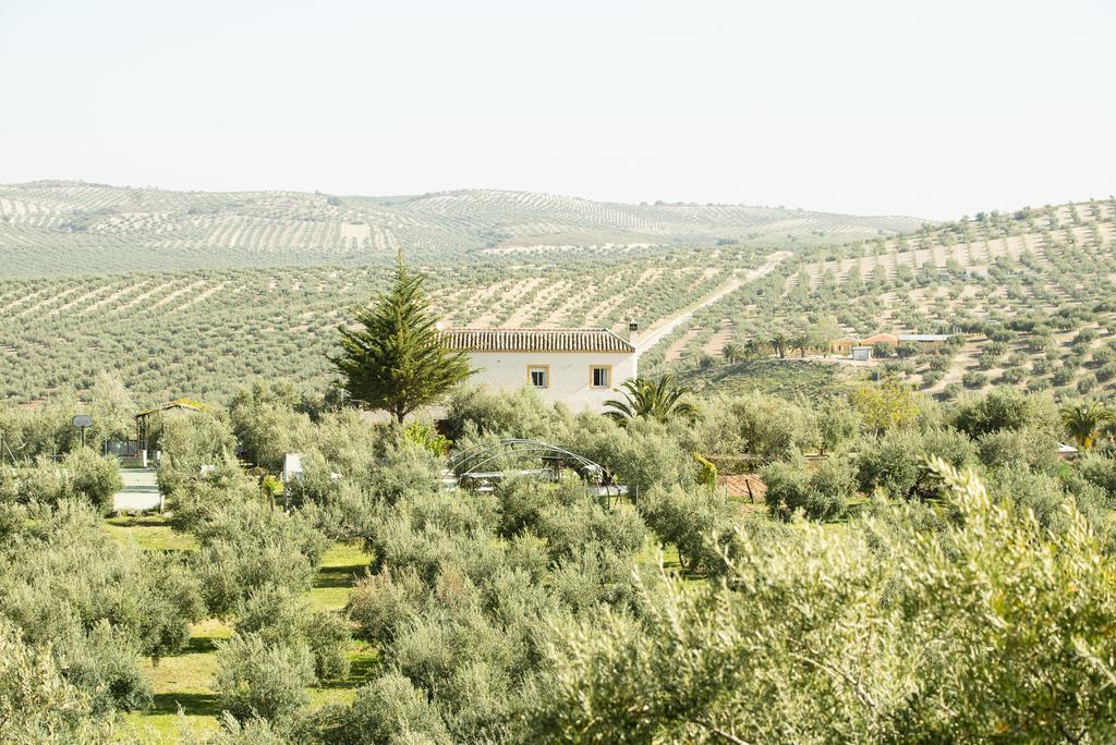 Agroturismo Ecologico El Cortijillo Луке Экстерьер фото